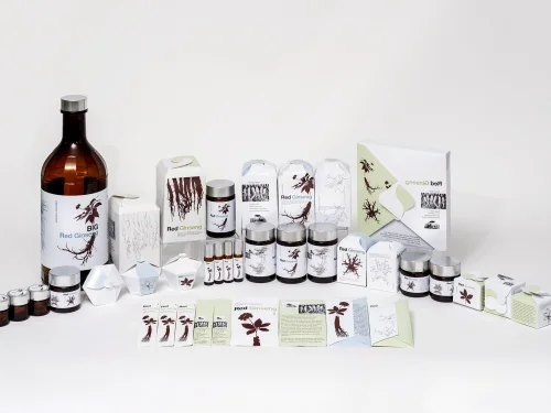 박서현, 전지은