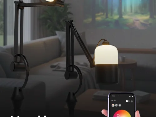 김지유, 조하영