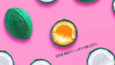 서하나, 김예슬, 최해수, 정지현