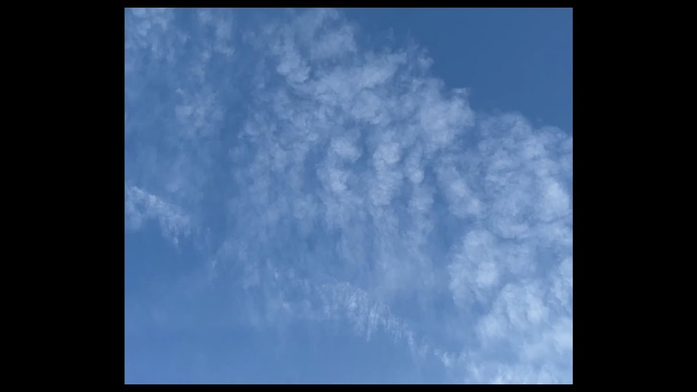 졸업 - 2025년 졸업전시회